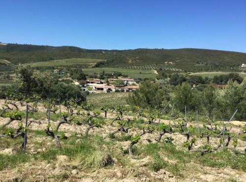 La Ferme des Chèvres