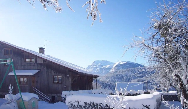 La Ferme des Cousines - Charmant chalet 3*
