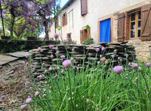 La ferme des grandes oreilles