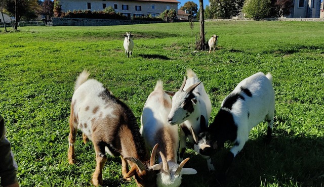 La Ferme des Tilleuls