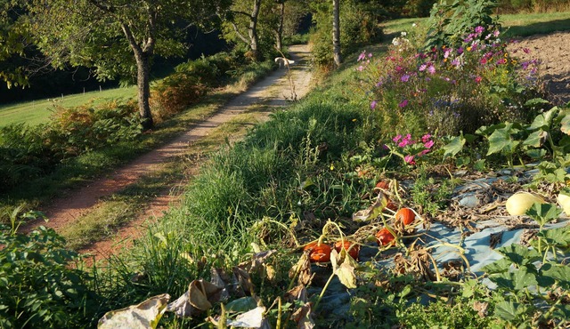 La Ferme du Thiollet