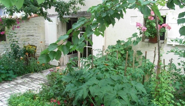 La Fleur de Vigne - Maison D'Hotes