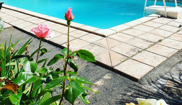 La fontenelle furnished rental with swimming pool in the heart of Cognac vineyards