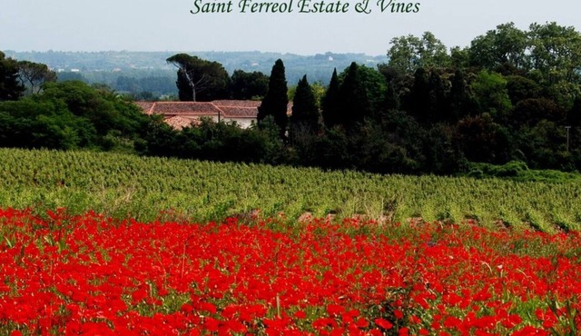 La Forge, 2 bedroom charming vineyard villa at Domaine Saint Ferreol