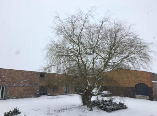 La gaîté de louvignies