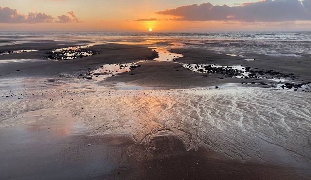 La Galerie de Curzon - Ravissante maison pour 2
