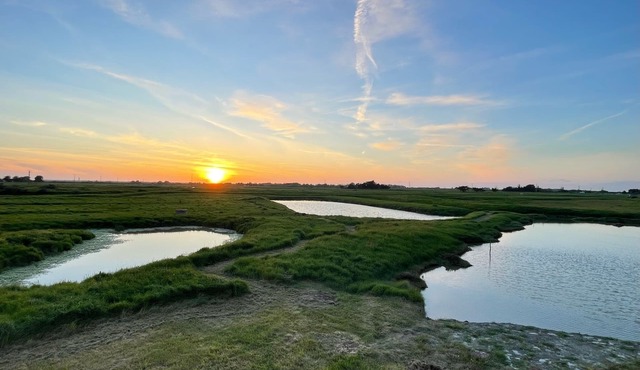 La Gesière : au Cœur du Marais