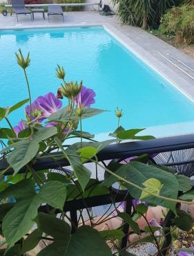 La Gouillette en Camargue