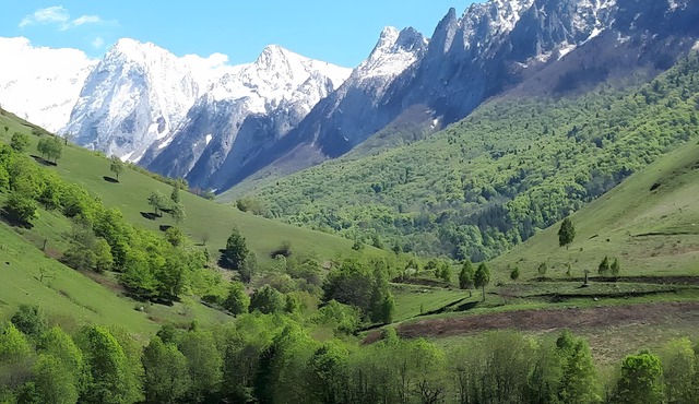 La Grange Accous: Mountain Views, Wi-Fi & Air Conditioning