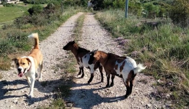 La Grange de Sabatas, Room La Payre