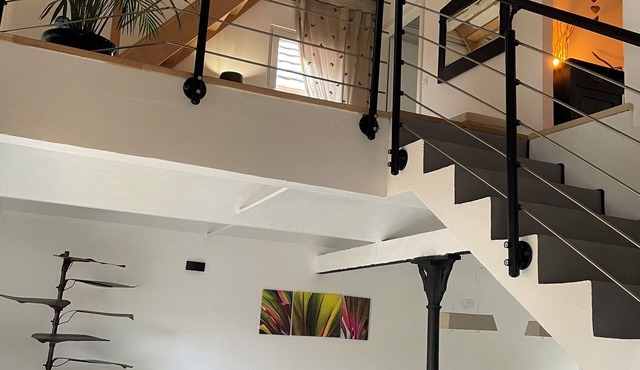 La grange de Sophie - Spacious and charming triplex with terrace