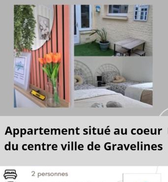 La gravelinoise 1 appartement cosy et lumineux en centre ville