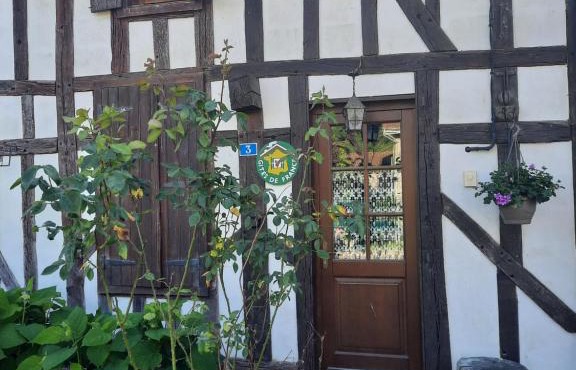 LA GRUE CENDRÉE - Les gîtes du Der -