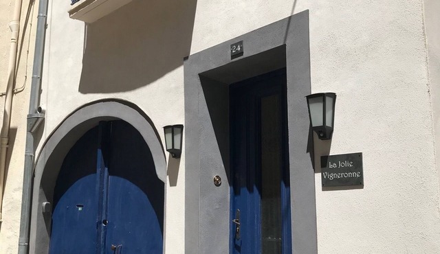 La Jolie Vigneronne - Ancient winemaker's house with three terraces