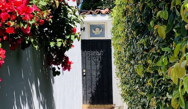La Jolla Studio guest house