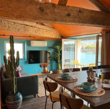La Jouvence - Appartements à thème, avec balcon vue Saône et climatisés
