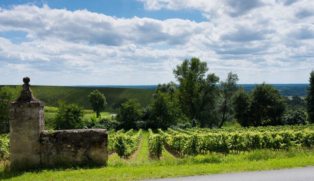 La Ligassonne, Grande Maison, Calme, 25 km from Bordeaux