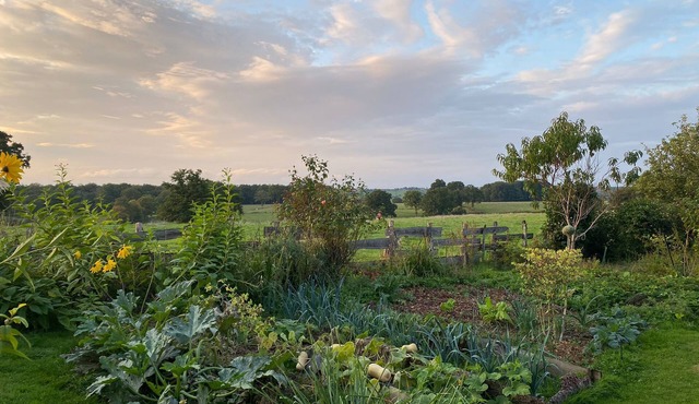 La Lisière du Morvan