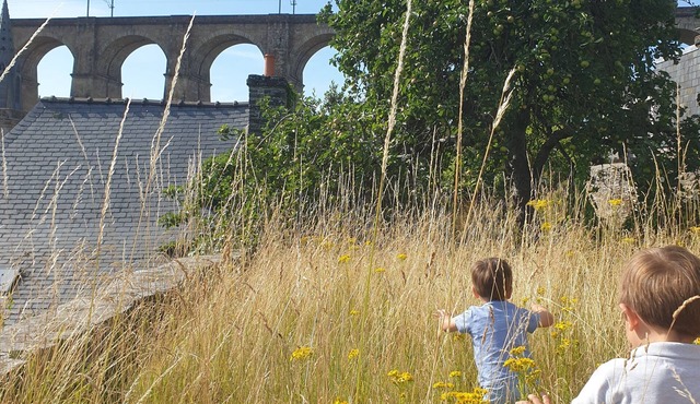 La Luce, Grande Maison Familiale en Centre-ville de Morlaix