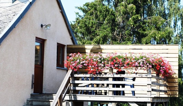 LA Mûre ET L'olivier