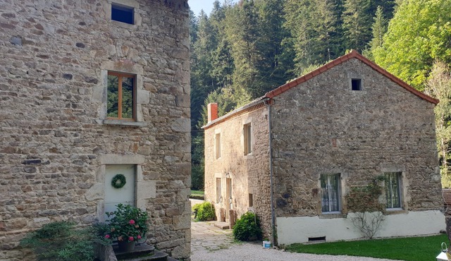 La Maison du Meunier. S'entourer de nature🌲