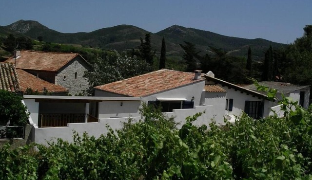 "La maison des vendangeurs" : 12 people with private pool