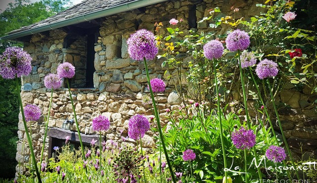 La Maisonnette: Charming cottages in Aveyron, in the heart of the Lot valley.
