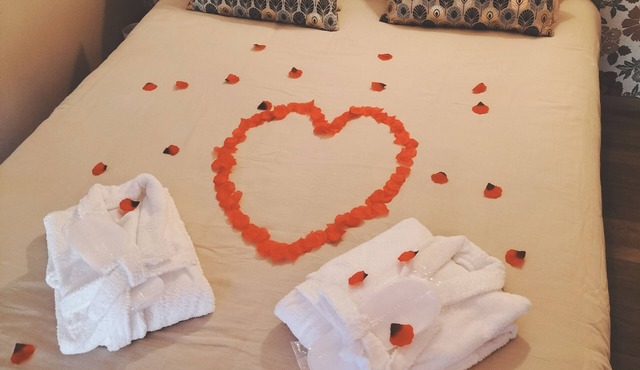 La maison des volcans Cantal, pretty Auvergne house with jacuzzi