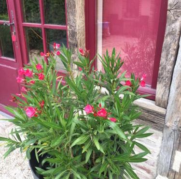 La Maison aux Volets Rouges