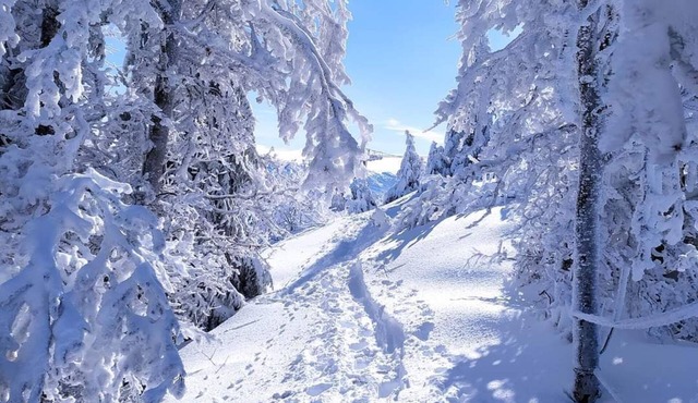 La Maison D'evelyne,gite Classé 3 Étoiles et Labélisé Famille Plus
