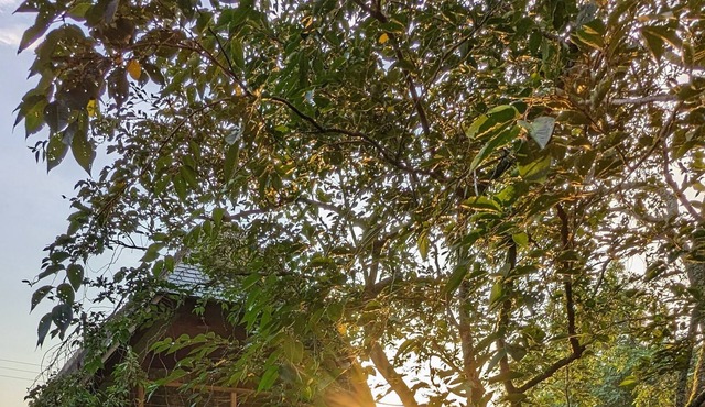 La Maison dans les Bois - Beach 30min