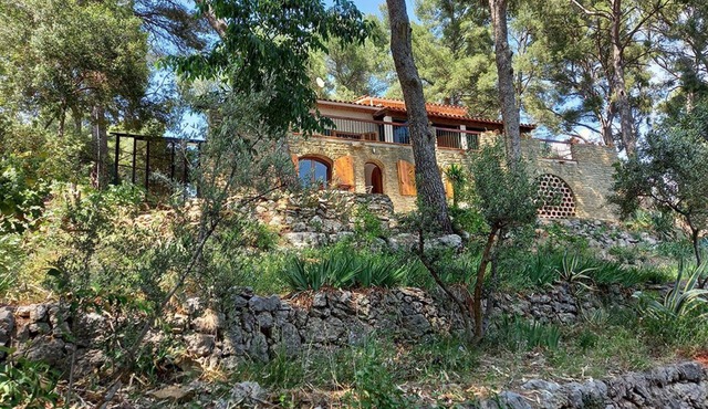 LA Maison Dans LES Pins