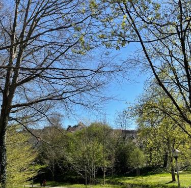 La Maison de l'Auzette