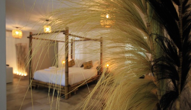 La Maison de l'Olivier