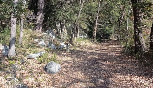LA Maison DE Papou LA Vigne