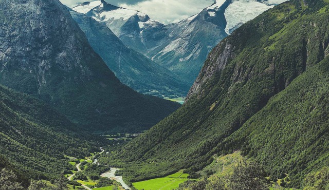 La Maison De Rose En Provence