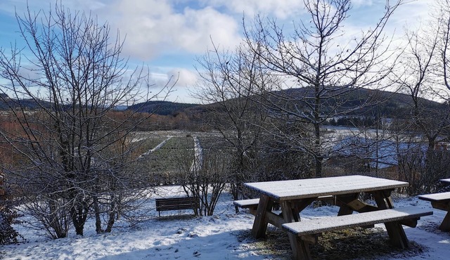 La maison des explorateurs, ideal for families, walks around the lakes