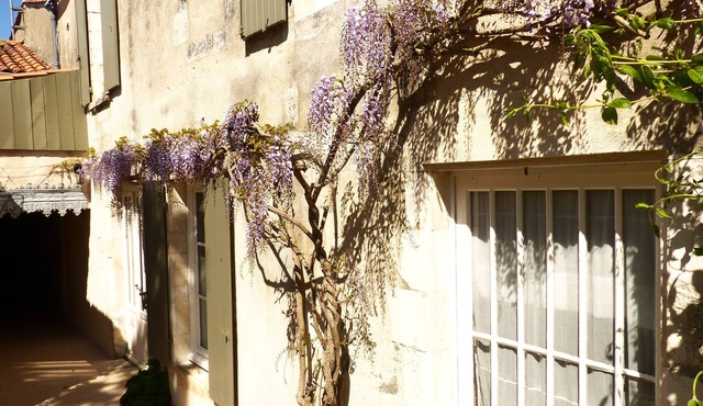 La Maison Douce