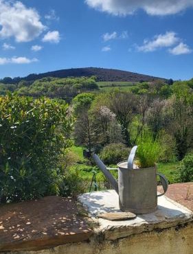 La Maison du chataignier