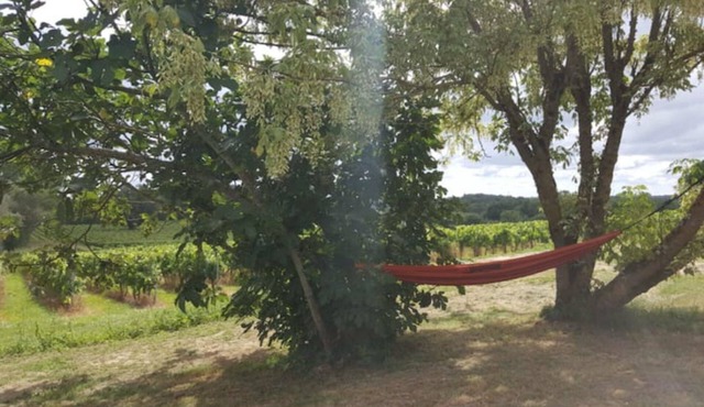 La Maison du Vignoble: Charme & Vue Panoramique