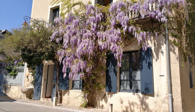 La Maison Farget, charming house, indoor pool, large terrace