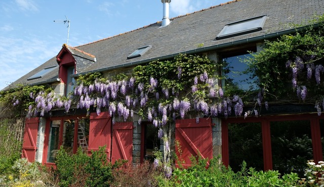La Maison Jaune à la Janaie