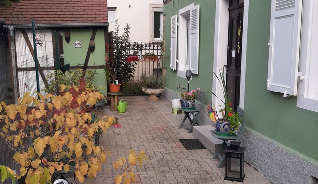 La maison verte, a charming and modern two-room apartment