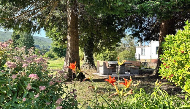 La Malagueña * - 4 people