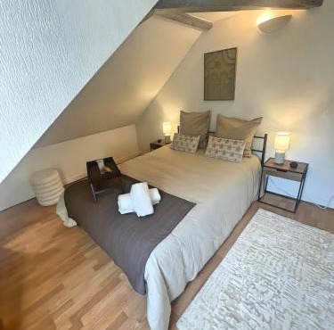 La Mansarde - Cœur Historique, Charme et Confort