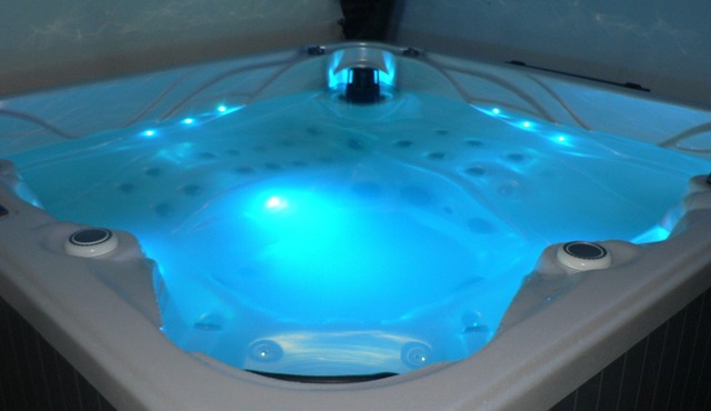 LA MARIENNAYE- PRIVATE SPA/VENDEE/15MIN PUY DU FOU