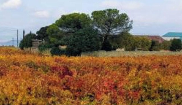 La Matilla, first floor cottage with large garden, ideal for families and friends.