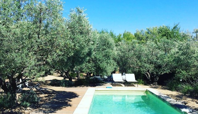 La Matina: Family Haven with Olive Garden Oasis