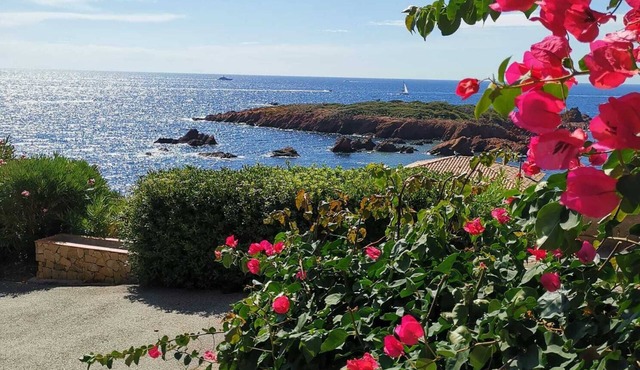 La Mer Veille - Terrace with sea view. Pets welcome!