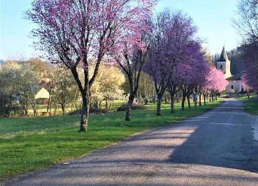 La MUSARDIERE Gîte paisible à la campagne